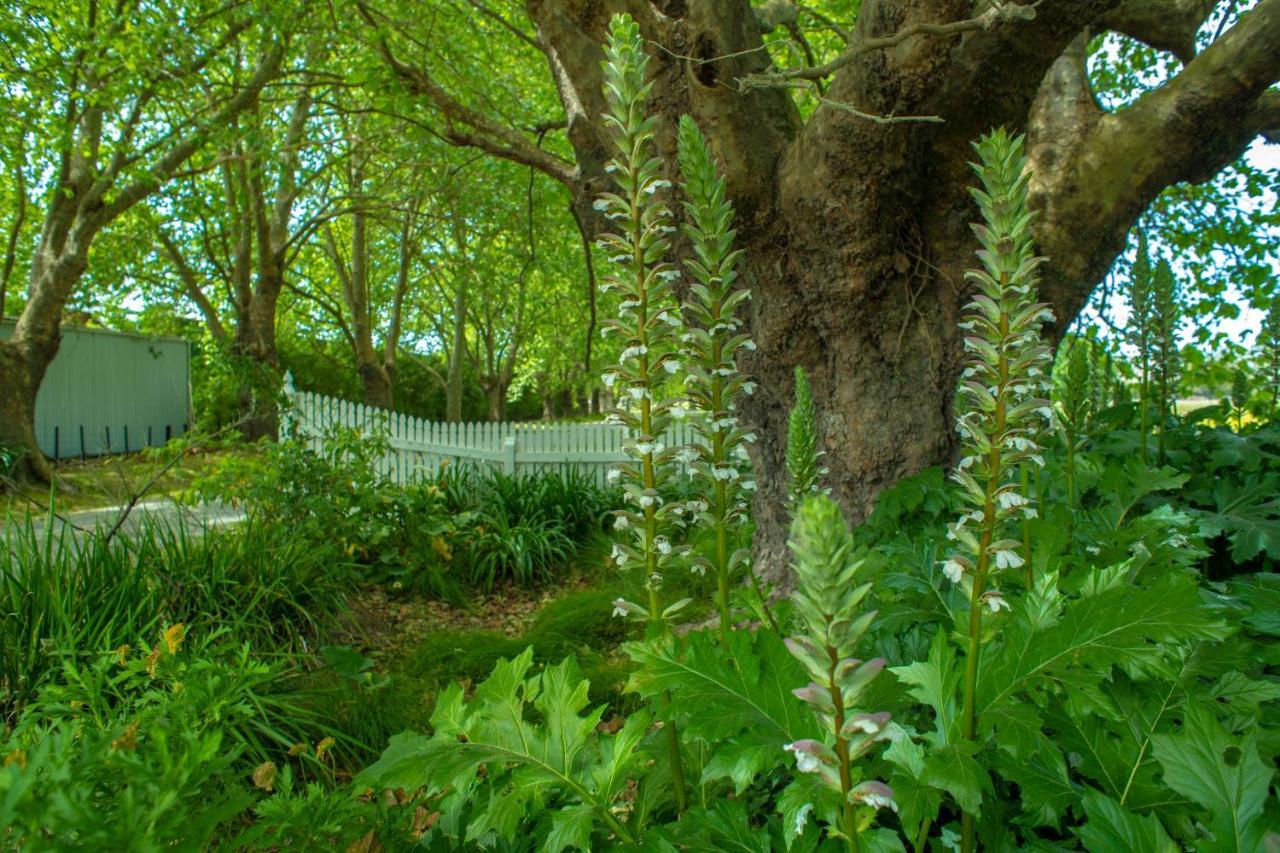 Hawthorne House Bed & Breakfast Hastings Bagian luar foto